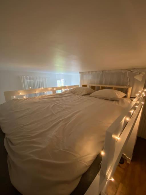 Appartement De Charme Pres Du Stade De France Сен Дени Екстериор снимка